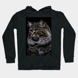 Cool cat portrait looking out in the distance Hoodie